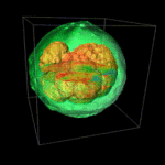 Rapid Quantitative Analysis of 2D and 3D Cultures