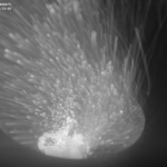 High Purity Metal Powders Using Laser Melting and Ultrasonic Atomisation