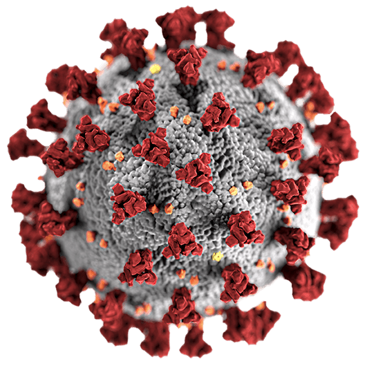 covid-19 virus