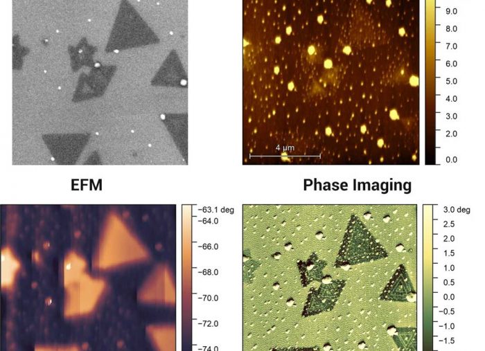 Examination of MoS<sub>2</sub> Using Simultaneous AFM and SEM Using the LiteScope 