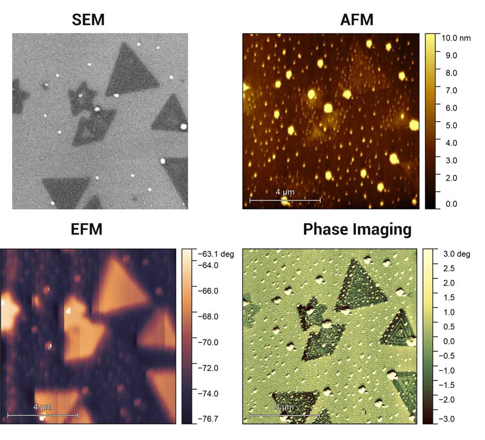 Examination of MoS2 Using Simultaneous AFM and SEM