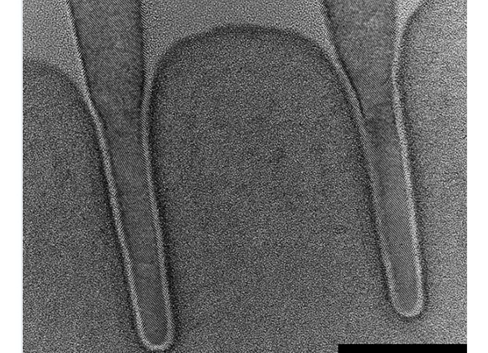 Ga FIB TEM Sample Preparation from 10nm FinFET