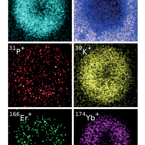 Analysis of Optical Fibres Using FIB-SEM and ToF-SIMS