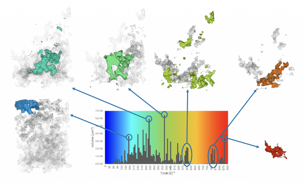 Flip-point analysis of a flow experiment. MicroCT 